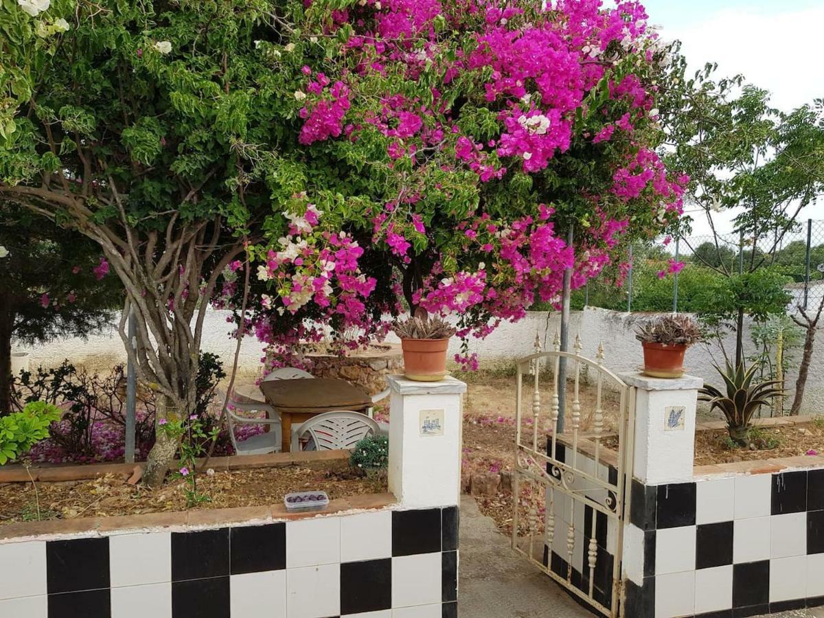 Casa Rustica No Monte Das Oliveiras, Sta Margarida, Tavira Eksteriør bilde