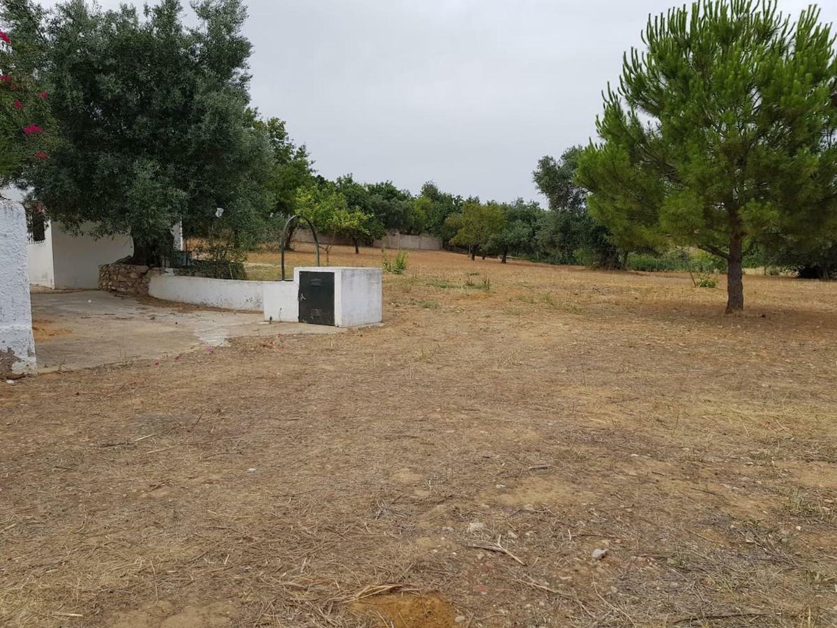 Casa Rustica No Monte Das Oliveiras, Sta Margarida, Tavira Eksteriør bilde